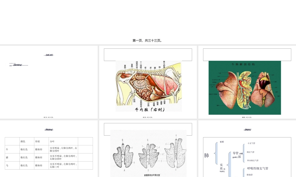 2022年医学专题—肺的结构.ppt