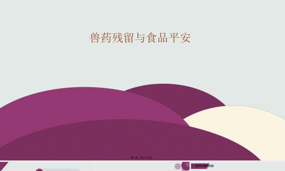 兽药残留与食品安全.pptx