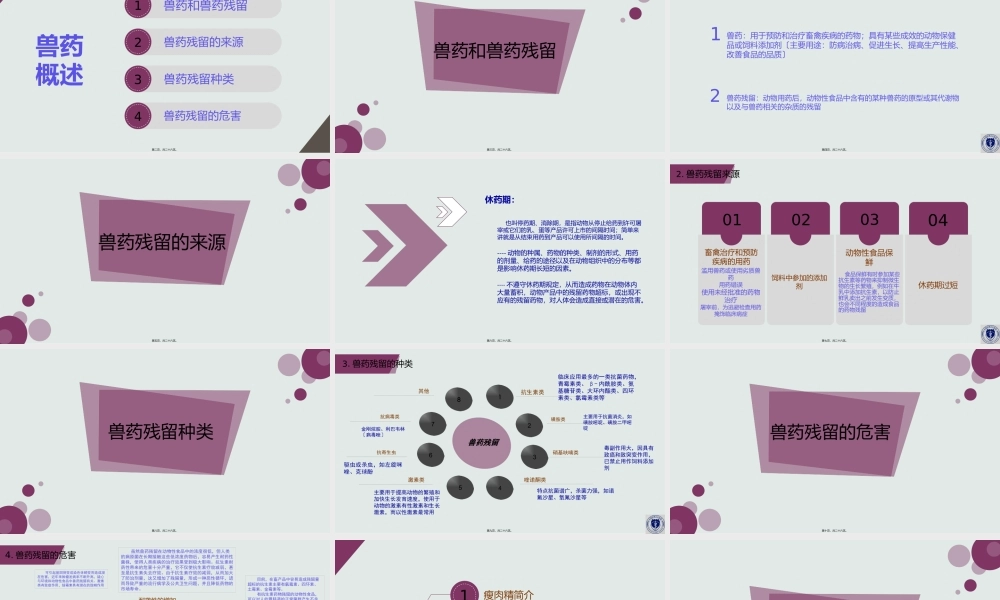 兽药残留与食品安全.pptx