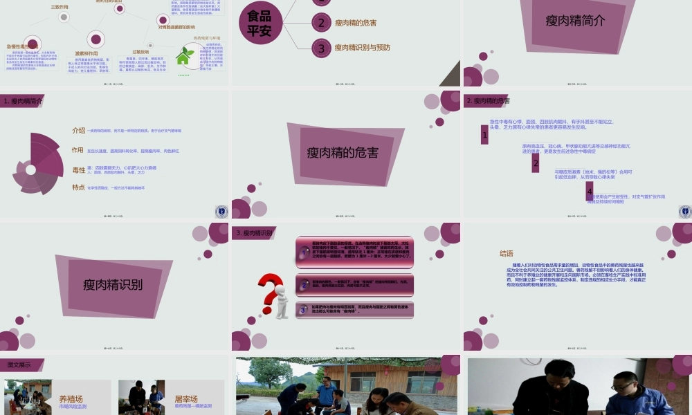 兽药残留与食品安全.pptx