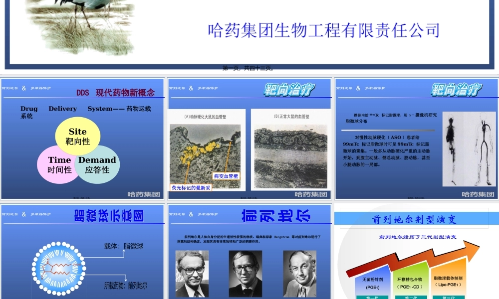 前列地尔-脏器保护ICU.pptx