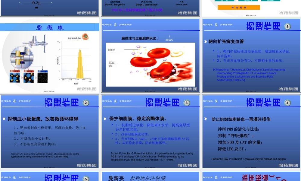 前列地尔-脏器保护ICU.pptx