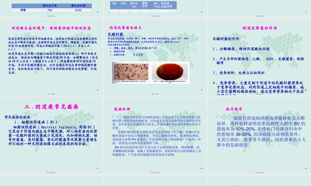 妇科五联检技术.pptx