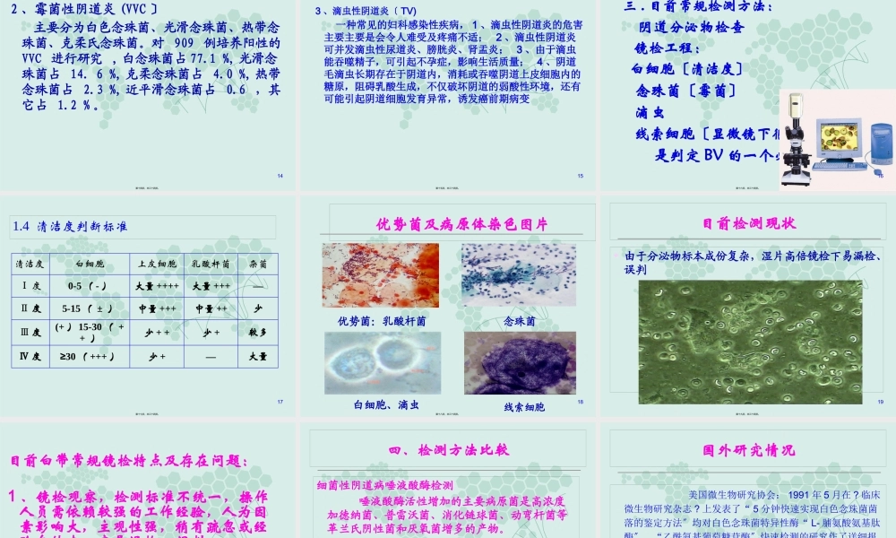 妇科五联检技术.pptx