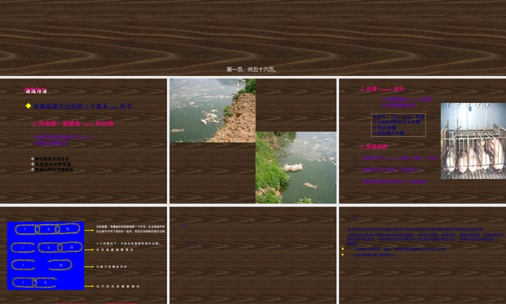 2022年医学专题—动物消毒和免疫.ppt