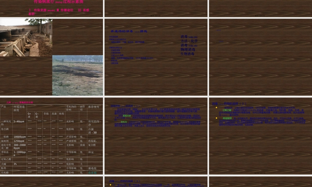 2022年医学专题—动物消毒和免疫.ppt