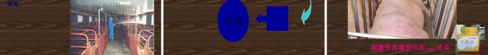 2022年医学专题—动物消毒和免疫.ppt