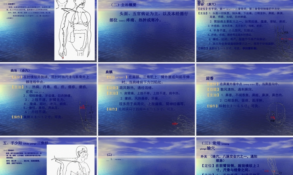 2022年医学专题—十四经脉和常用穴.ppt