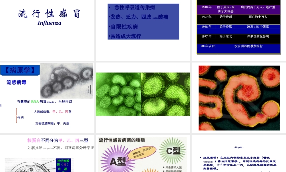 2022年医学专题—五、常见的各类传染病.ppt