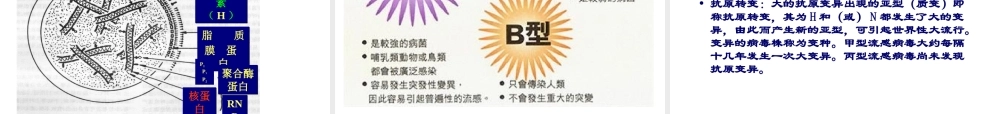 2022年医学专题—五、常见的各类传染病.ppt