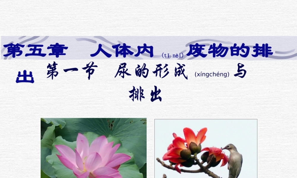 2022年医学专题—尿的形成和排出.ppt