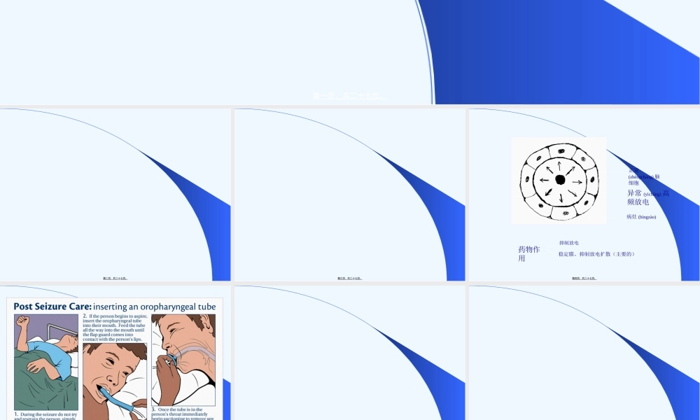 2022年医学专题—第12章-抗癫痫药和抗惊厥药.ppt