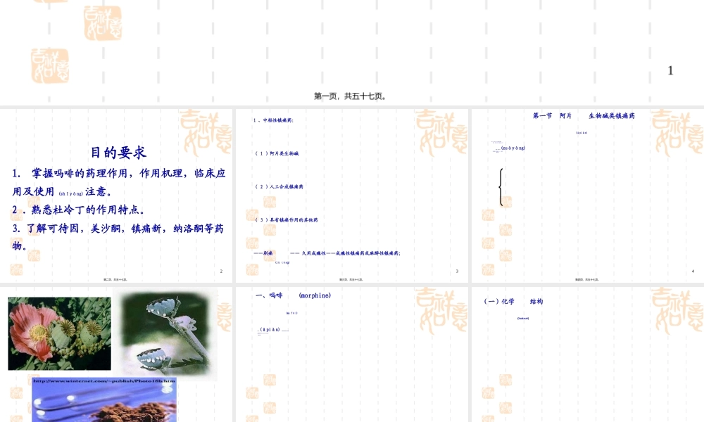 2022年医学专题—第十七章--镇痛药.ppt