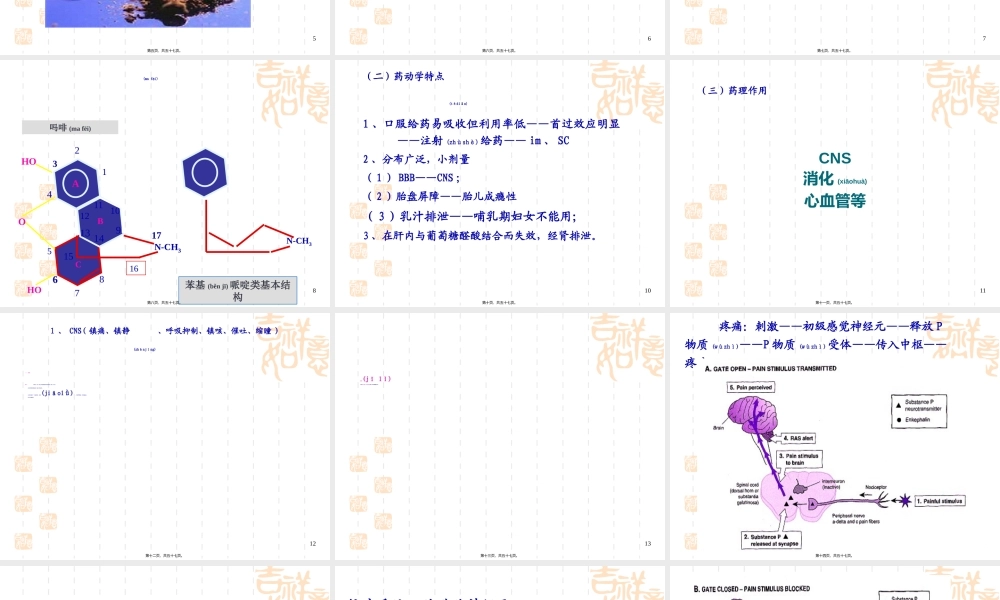 2022年医学专题—第十七章--镇痛药.ppt