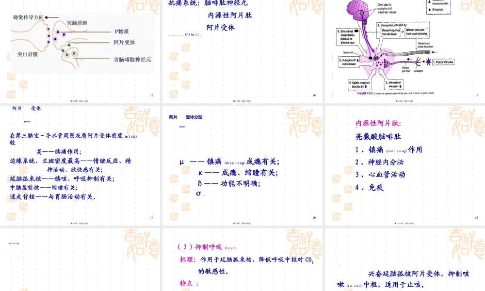 2022年医学专题—第十七章--镇痛药.ppt
