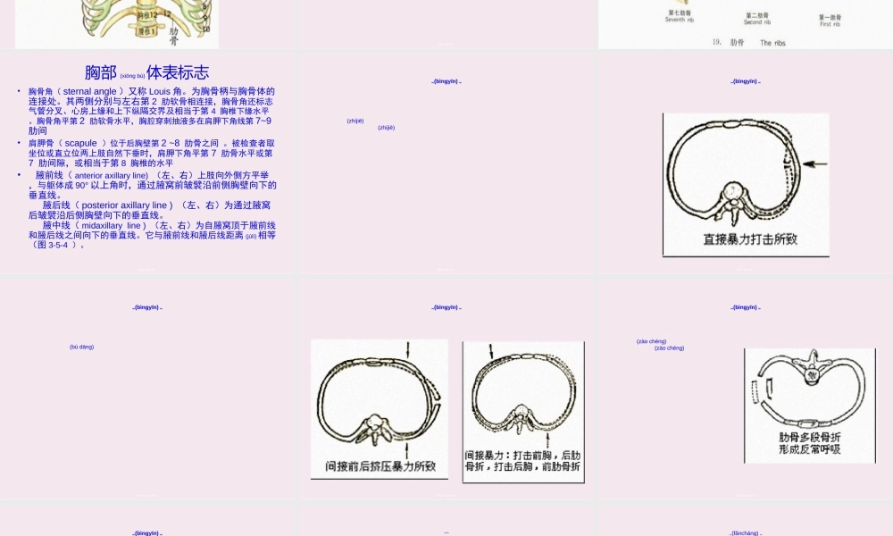 2022年医学专题—肋骨骨折与颈椎损伤(卡和曼).ppt