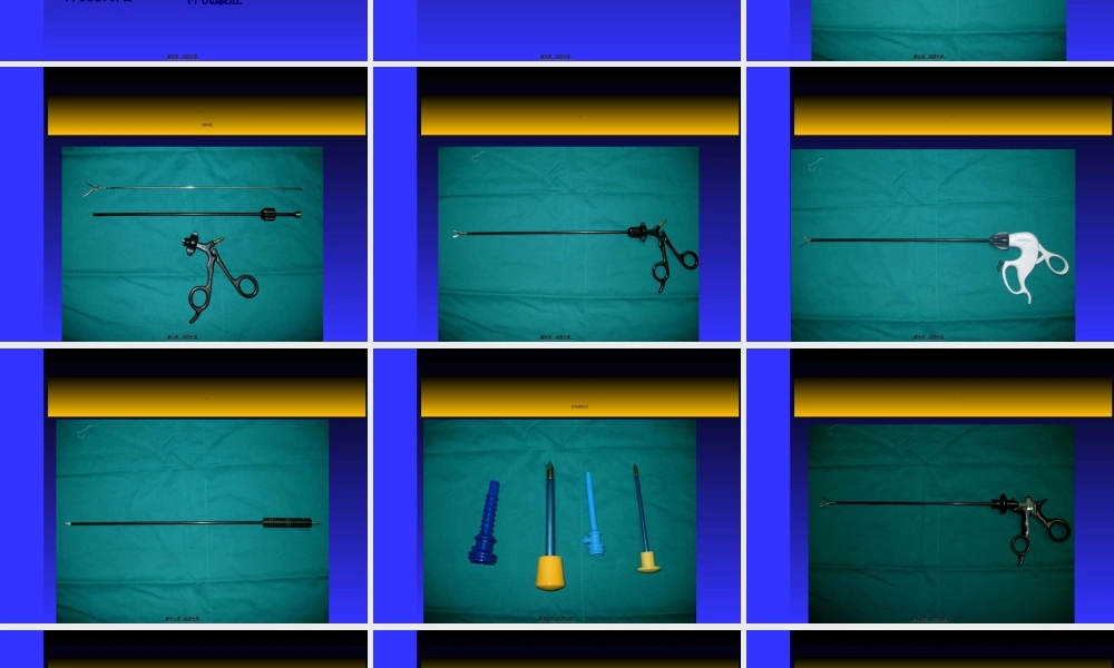 2022年医学专题—腹腔镜下胆囊切除术(LC).ppt