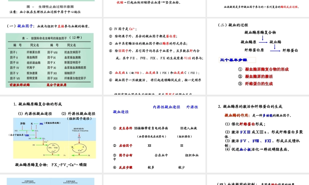 7版本科-血液2.ppt