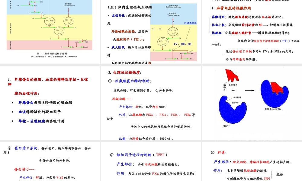 7版本科-血液2.ppt