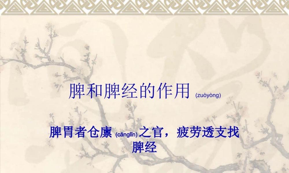 2022年医学专题—脾和足太阴脾经的作用.ppt