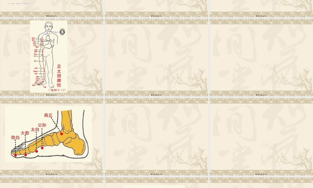 2022年医学专题—脾和足太阴脾经的作用.ppt