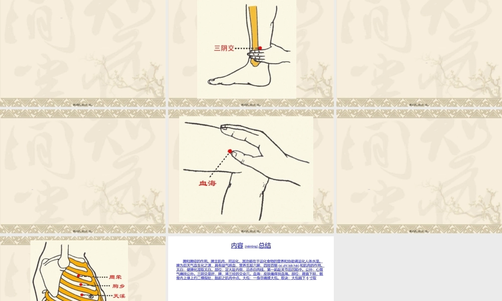 2022年医学专题—脾和足太阴脾经的作用.ppt