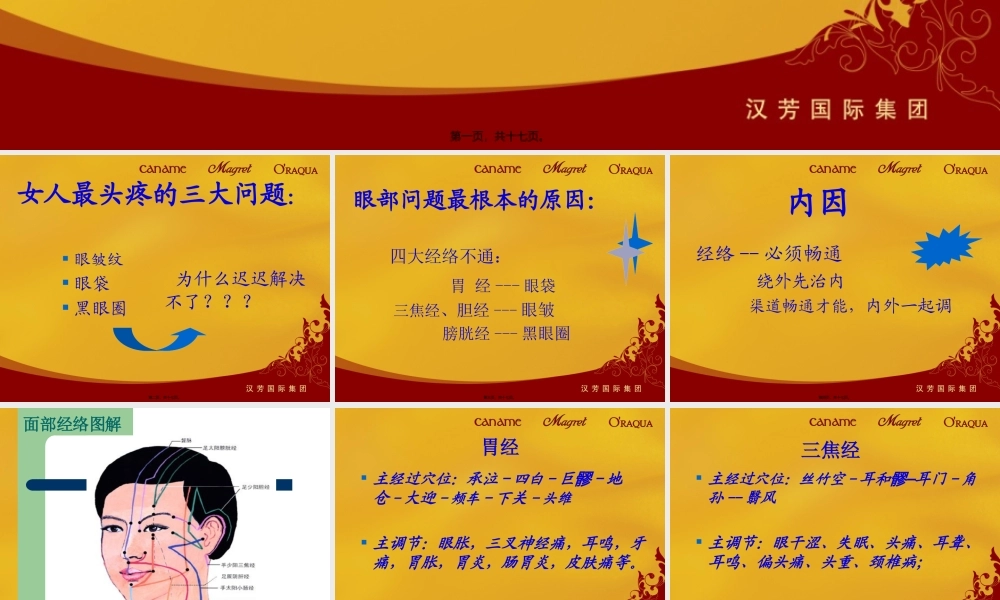 加美90°弹力眼雕术-(2).pptx