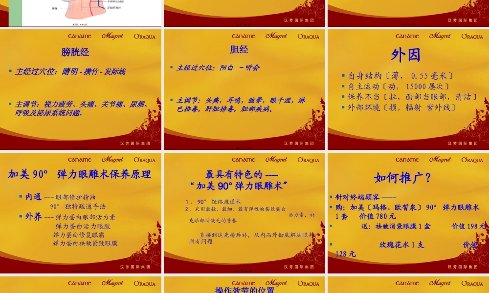 加美90°弹力眼雕术-(2).pptx