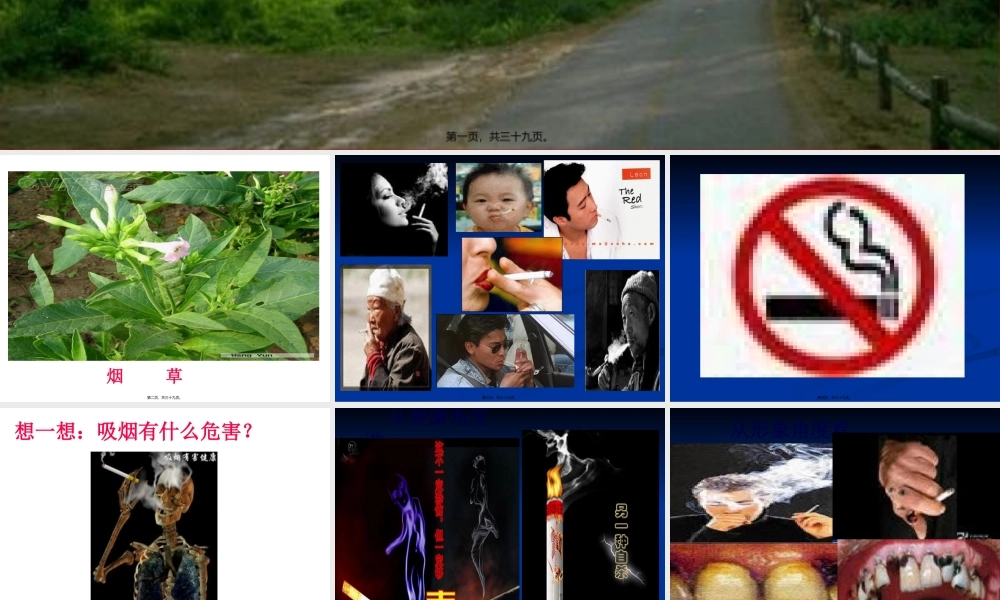 吸烟对人体的危害.pptx