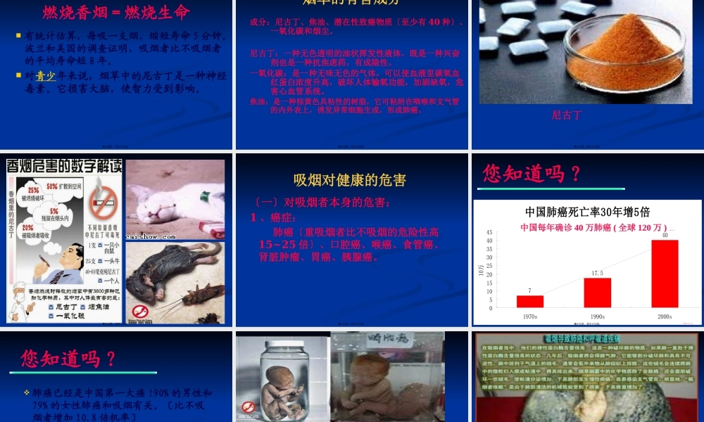 吸烟对人体的危害.pptx