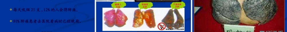 吸烟对人体的危害.pptx