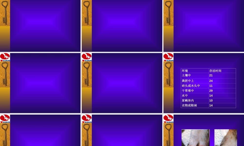 2022年医学专题—冬季养猪常见病的防制.ppt