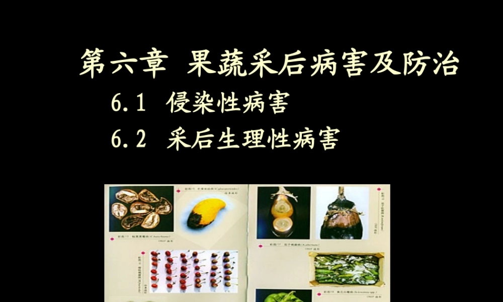 果蔬采后病害及防治...ppt