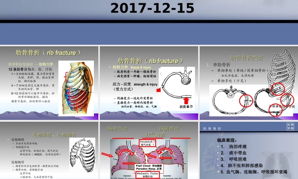 胸部损伤肋骨骨折.ppt