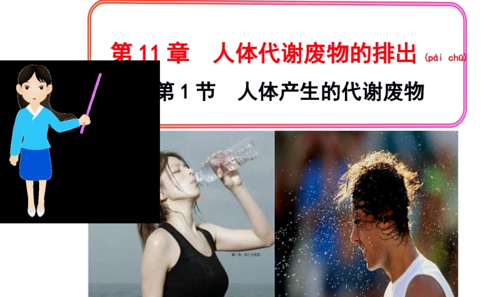 2022年医学专题—人体代谢废物ppt.ppt