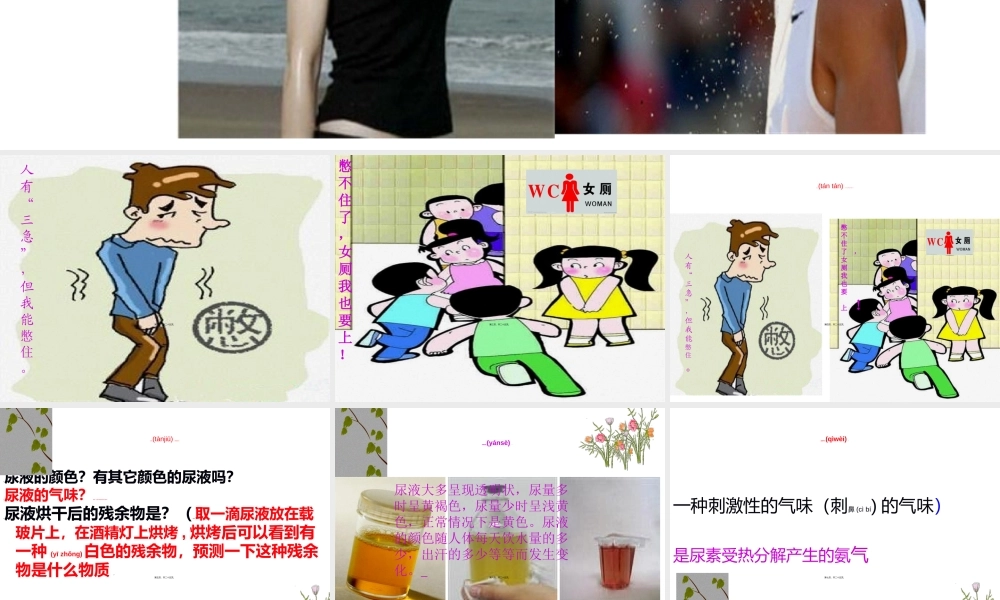 2022年医学专题—人体代谢废物ppt.ppt