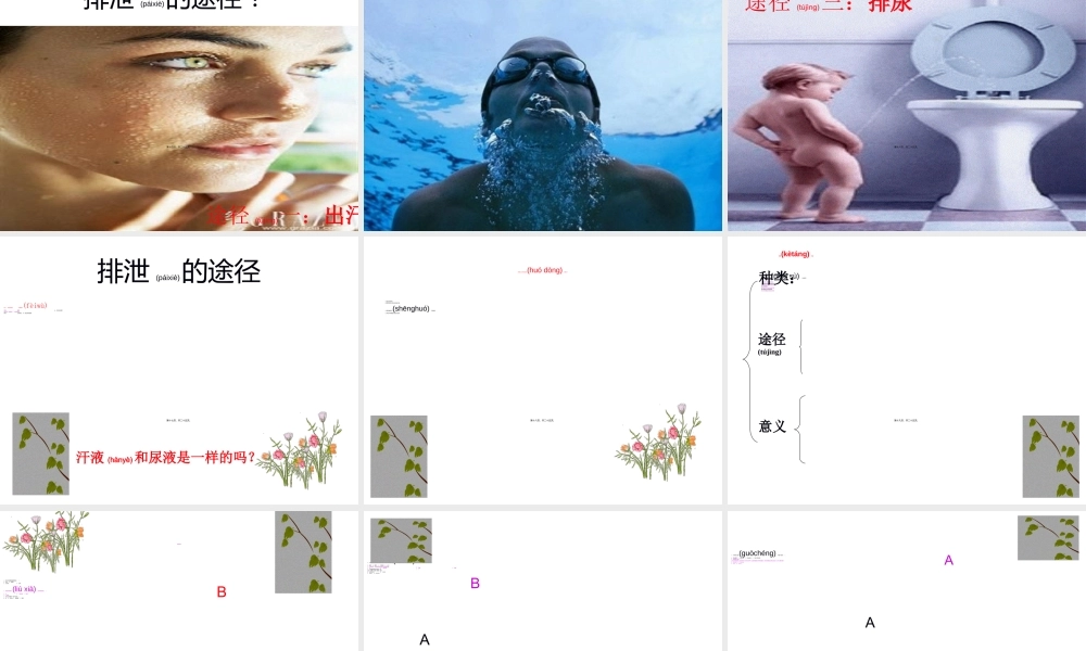 2022年医学专题—人体代谢废物ppt.ppt