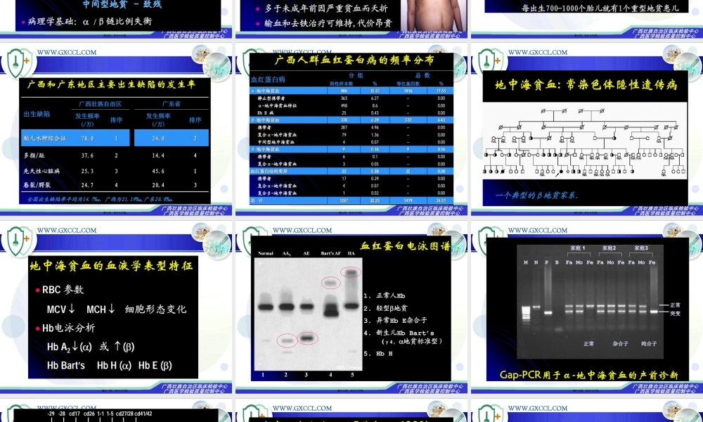 2022年医学专题—地中海贫血检测相关问题.ppt