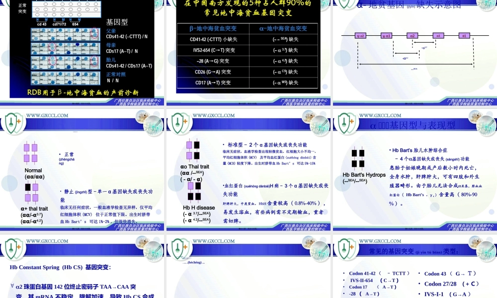 2022年医学专题—地中海贫血检测相关问题.ppt