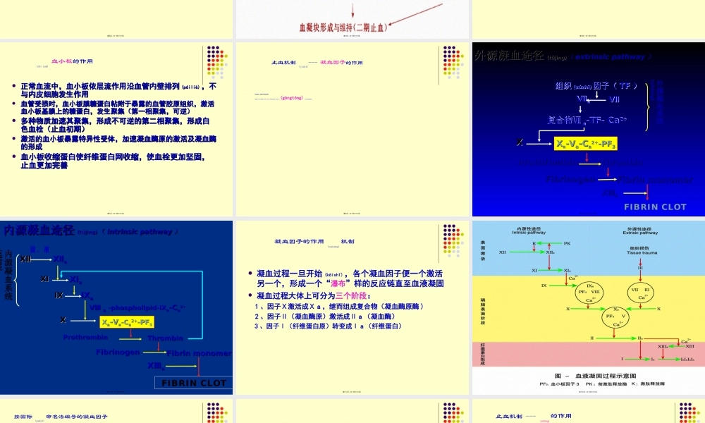 2022年医学专题—止血与抗凝.ppt
