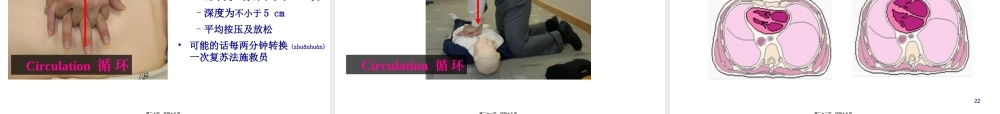 2022年医学专题—急-诊-培-训-系-列--心肺脑复苏.ppt
