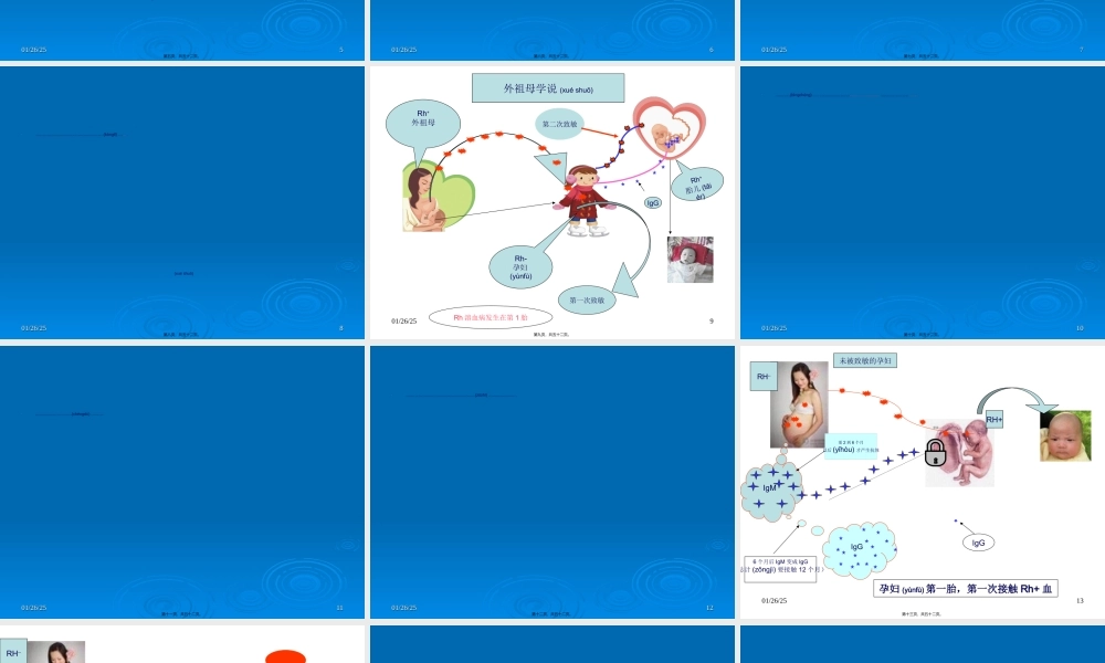 2022年医学专题—母儿血型不和原理---Rh1.ppt
