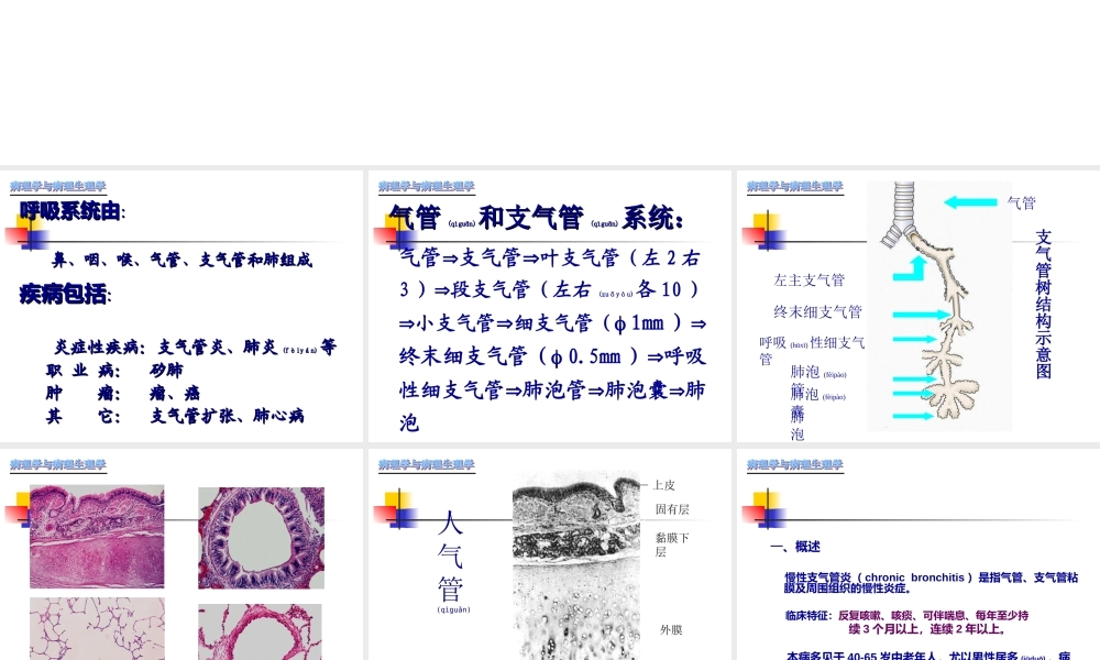 2022年医学专题—慢性支气管炎-肺炎.ppt