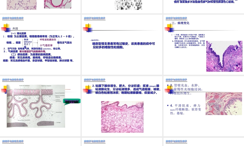 2022年医学专题—慢性支气管炎-肺炎.ppt