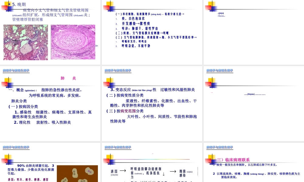 2022年医学专题—慢性支气管炎-肺炎.ppt