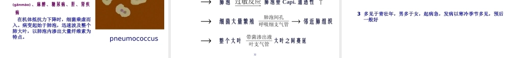 2022年医学专题—慢性支气管炎-肺炎.ppt