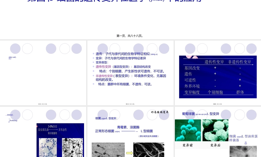 2022年医学专题—第十三章细菌的遗传与变异.ppt