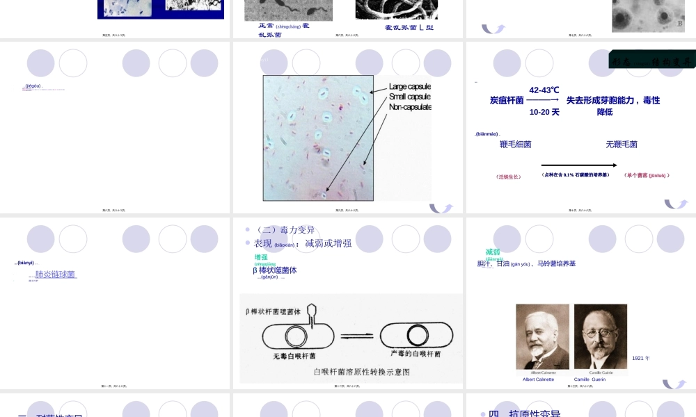 2022年医学专题—第十三章细菌的遗传与变异.ppt