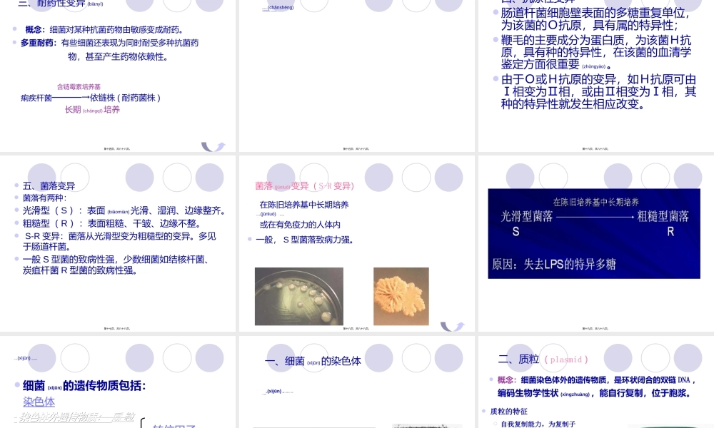 2022年医学专题—第十三章细菌的遗传与变异.ppt