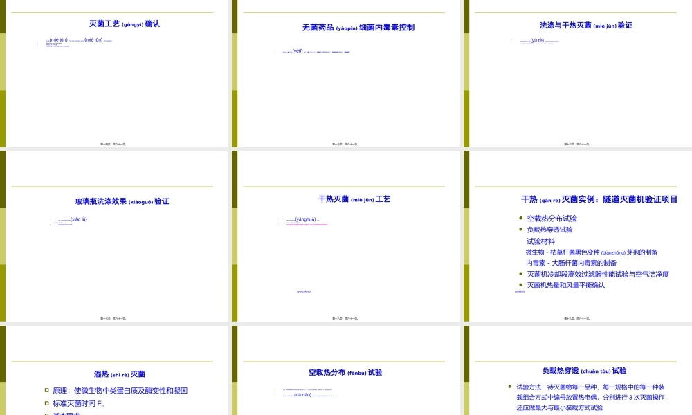2022年医学专题—无菌药品生产工艺-验证.ppt